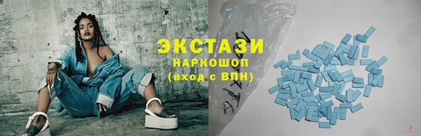 гидра Грязовец