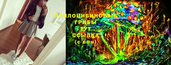 винт Гусиноозёрск