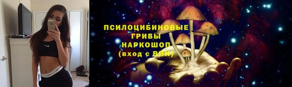 кристаллы Гусь-Хрустальный