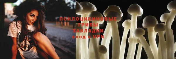 винт Гусиноозёрск
