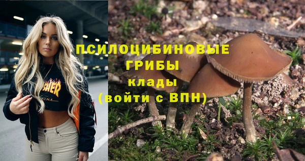 гашишное масло Гусев