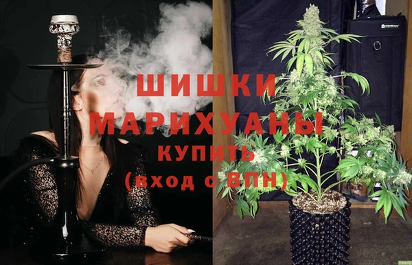 винт Гусиноозёрск