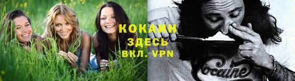винт Гусиноозёрск