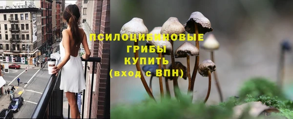 гашишное масло Гусев