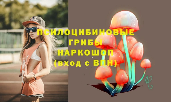 кристаллы Гусь-Хрустальный