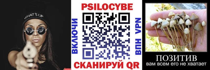 Галлюциногенные грибы MAGIC MUSHROOMS  Купить закладки  Куйбышев 